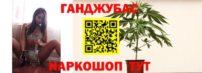 дмт Камышлов